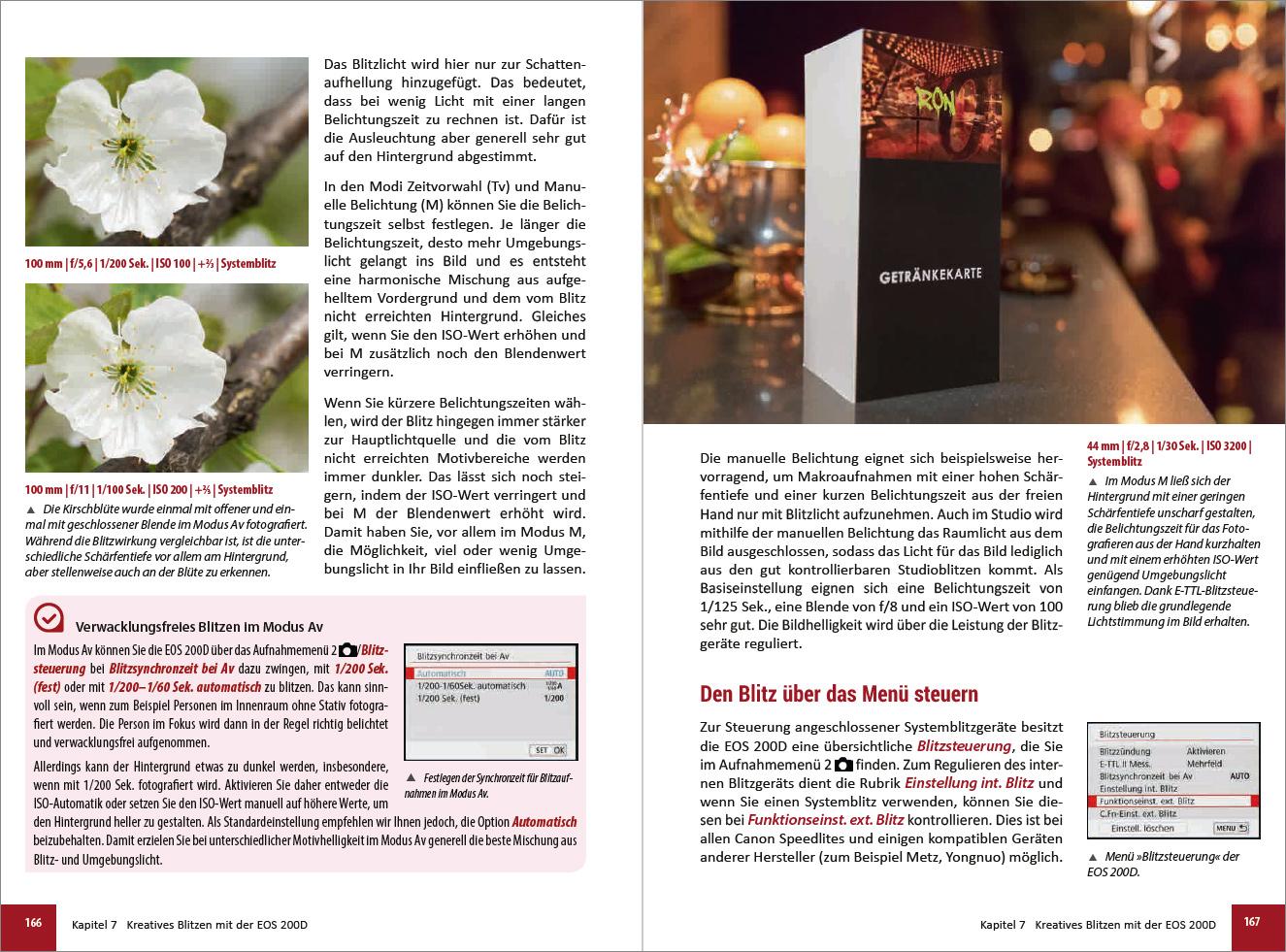 Beispielinhalt (Bild) Canon EOS 200D / 250D