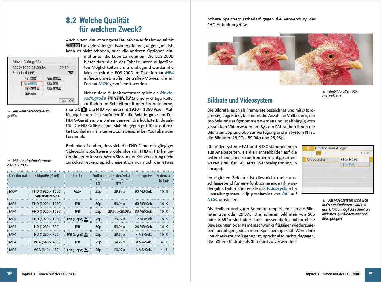 Beispielinhalt (Bild) Canon EOS 200D / 250D