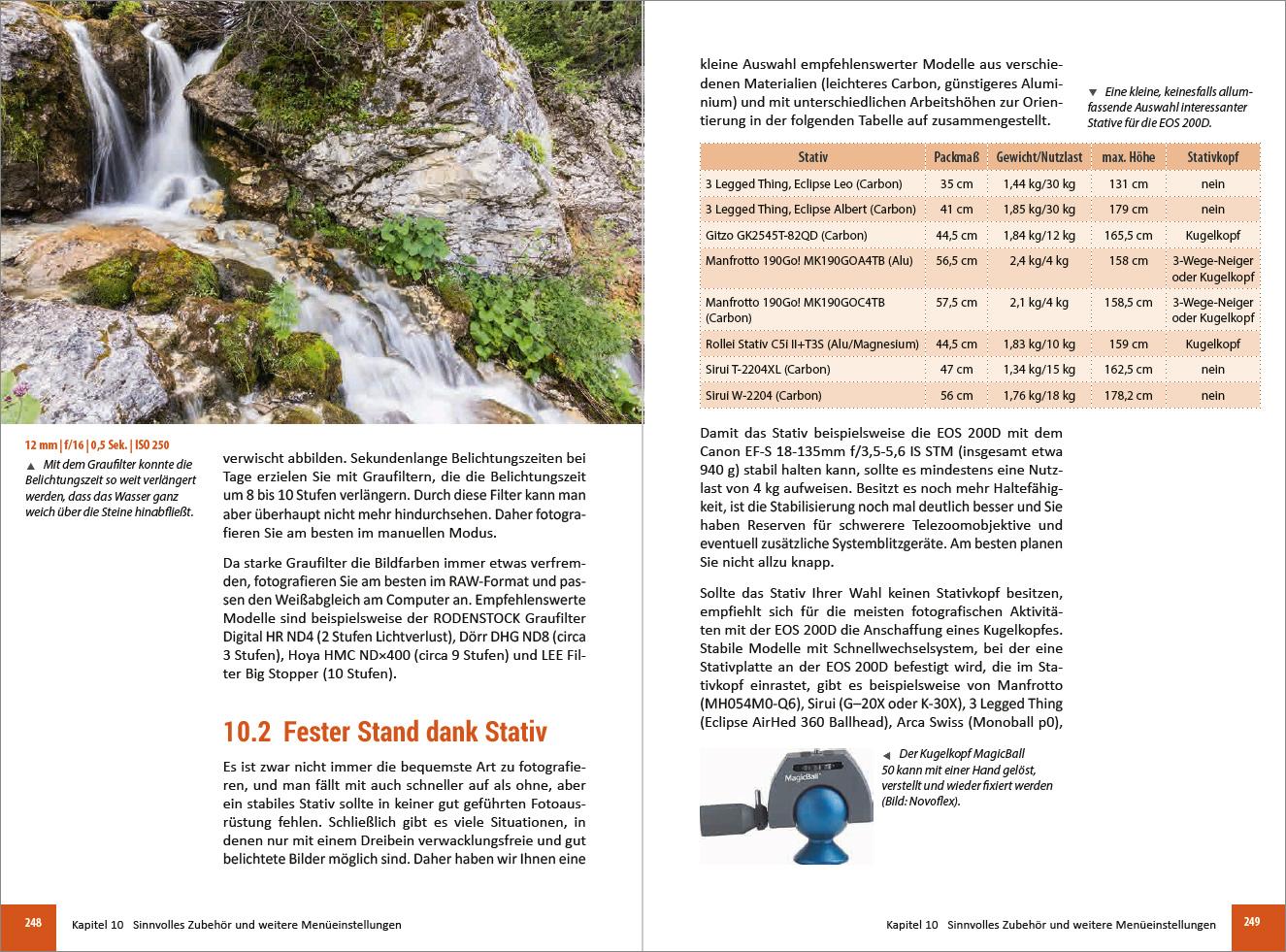 Beispielinhalt (Bild) Canon EOS 200D / 250D