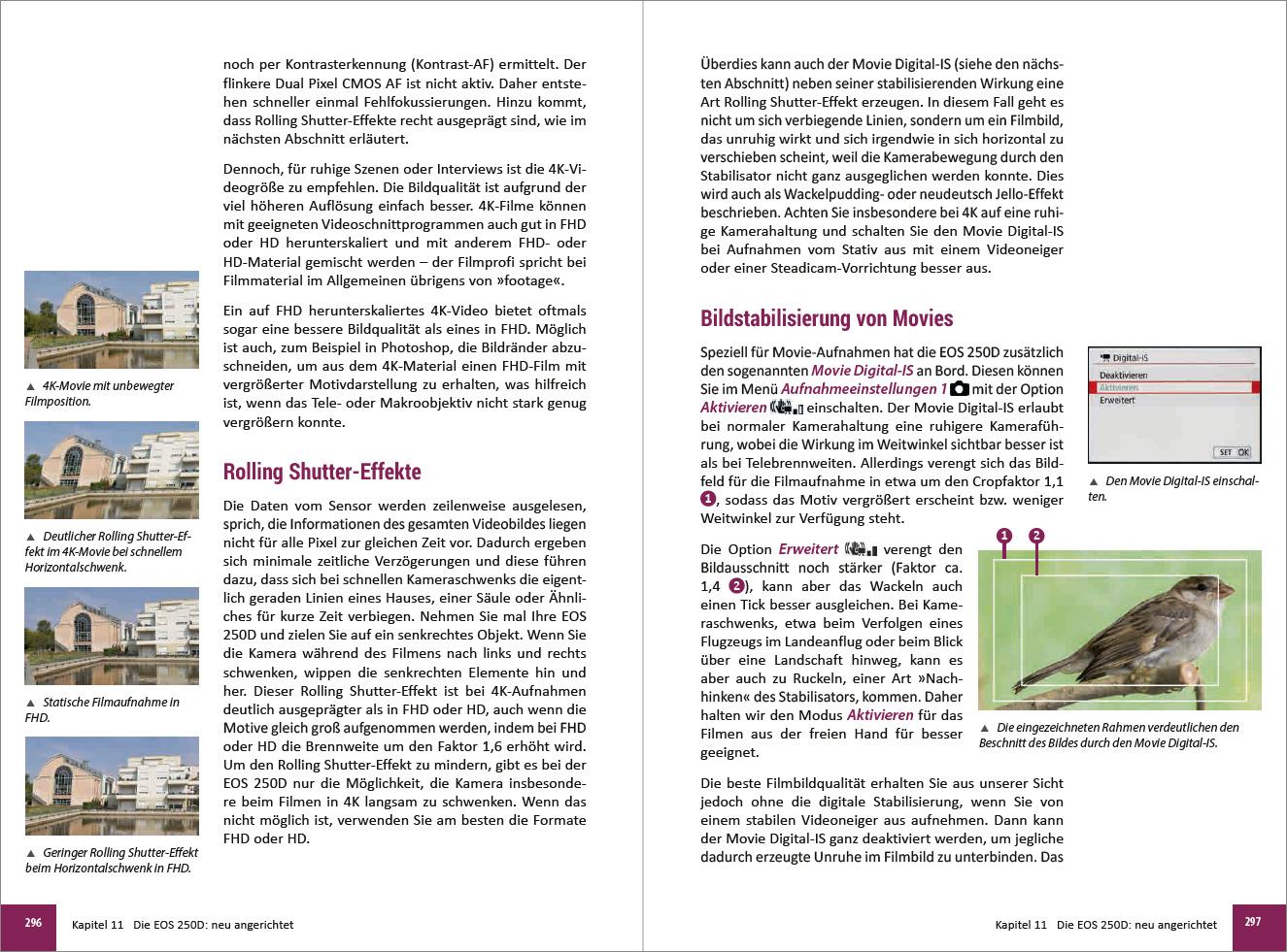 Beispielinhalt (Bild) Canon EOS 200D / 250D