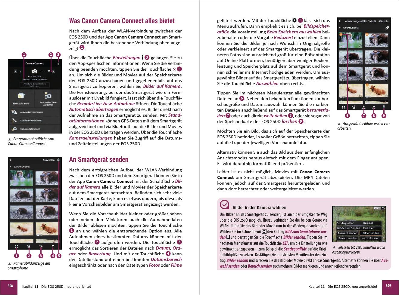 Beispielinhalt (Bild) Canon EOS 200D / 250D