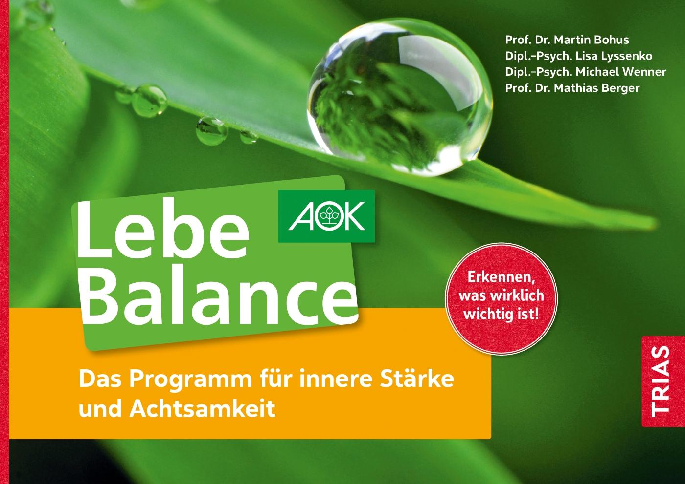 Vorderes Coverbild Lebe Balance