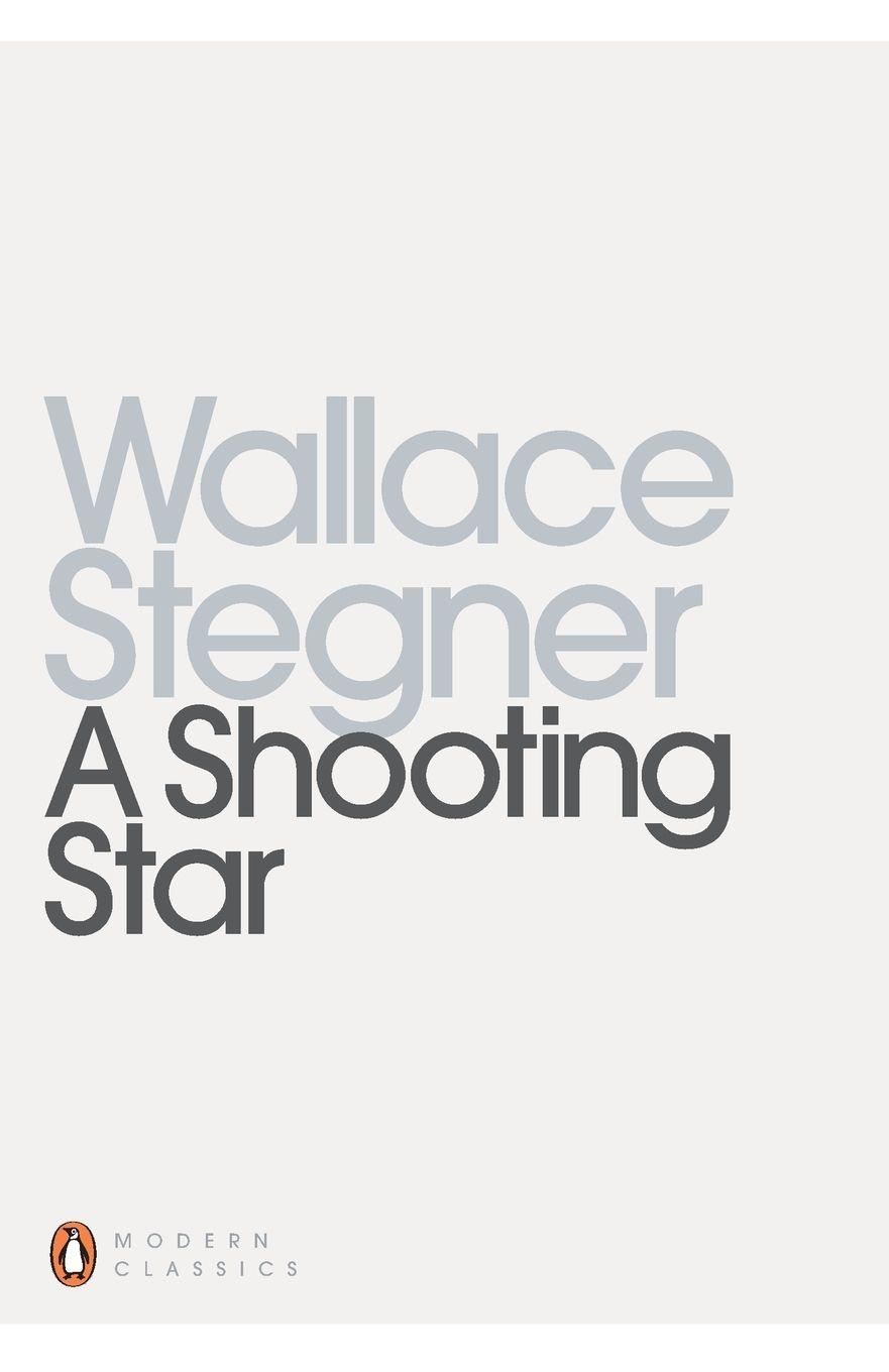 Vorderes Coverbild A Shooting Star