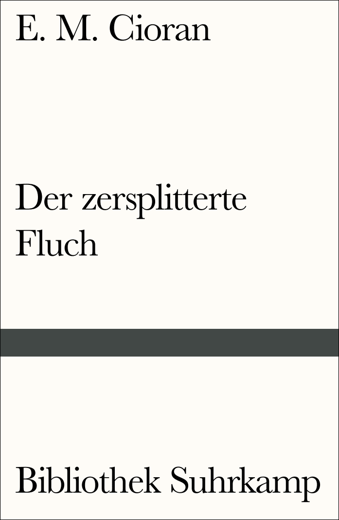 Vorderes Coverbild Der zersplitterte Fluch