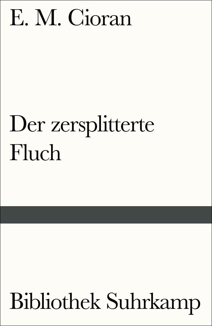 Vorderes Coverbild Der zersplitterte Fluch