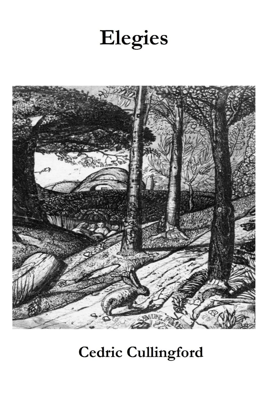 Vorderes Coverbild Elegies