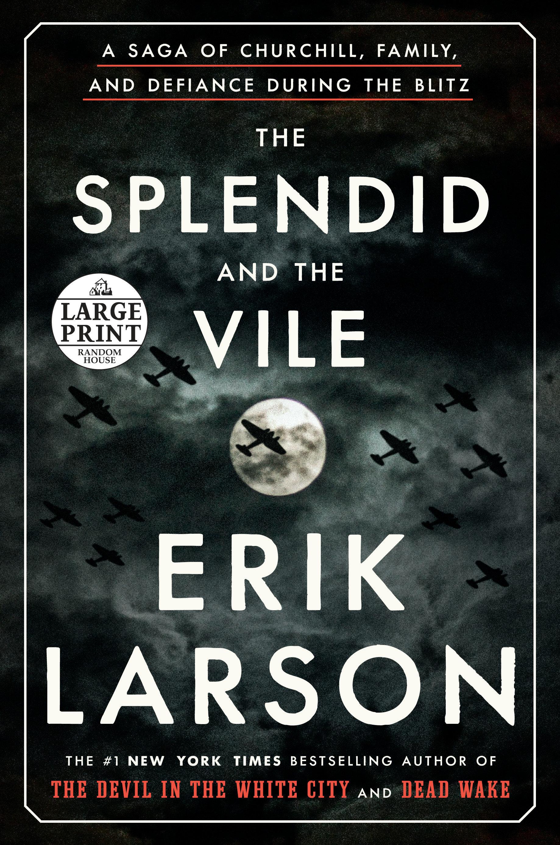 Vorderes Coverbild The Splendid and the Vile