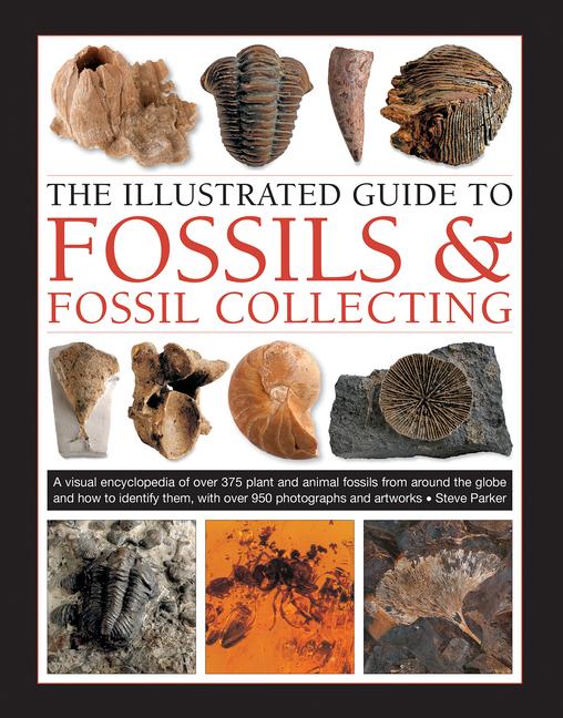 Vorderes Coverbild The Illustrated Guide to Fossils & Fossil Collecting