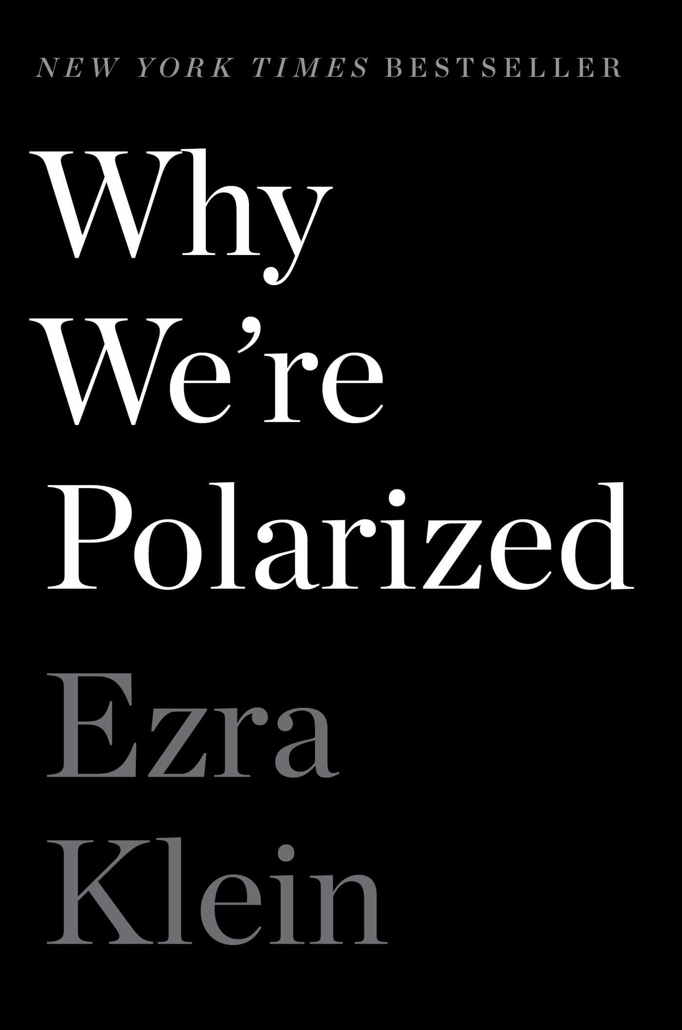 Vorderes Coverbild Why We're Polarized