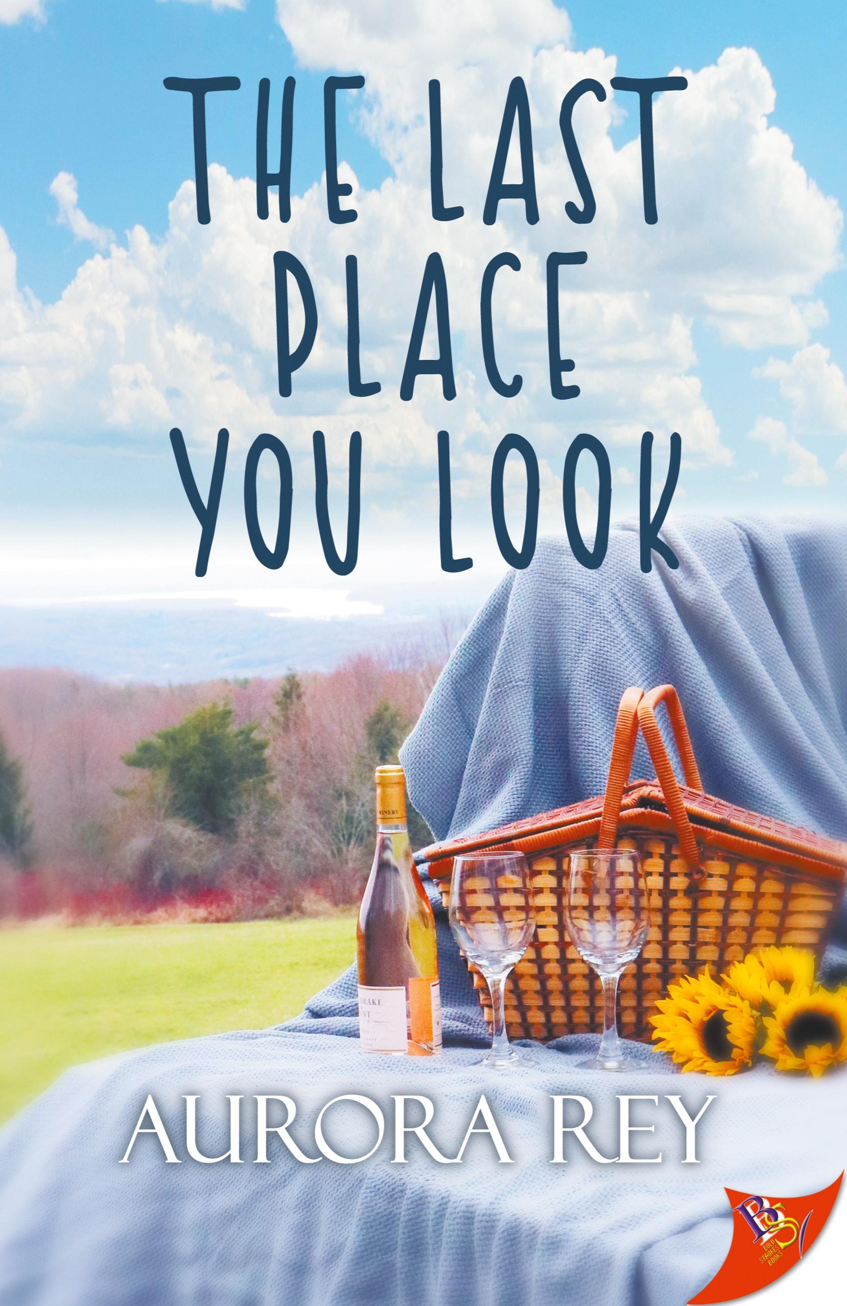 Vorderes Coverbild The Last Place You Look