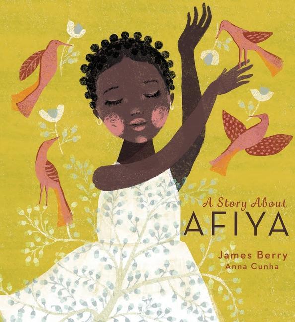Vorderes Coverbild A Story about Afiya