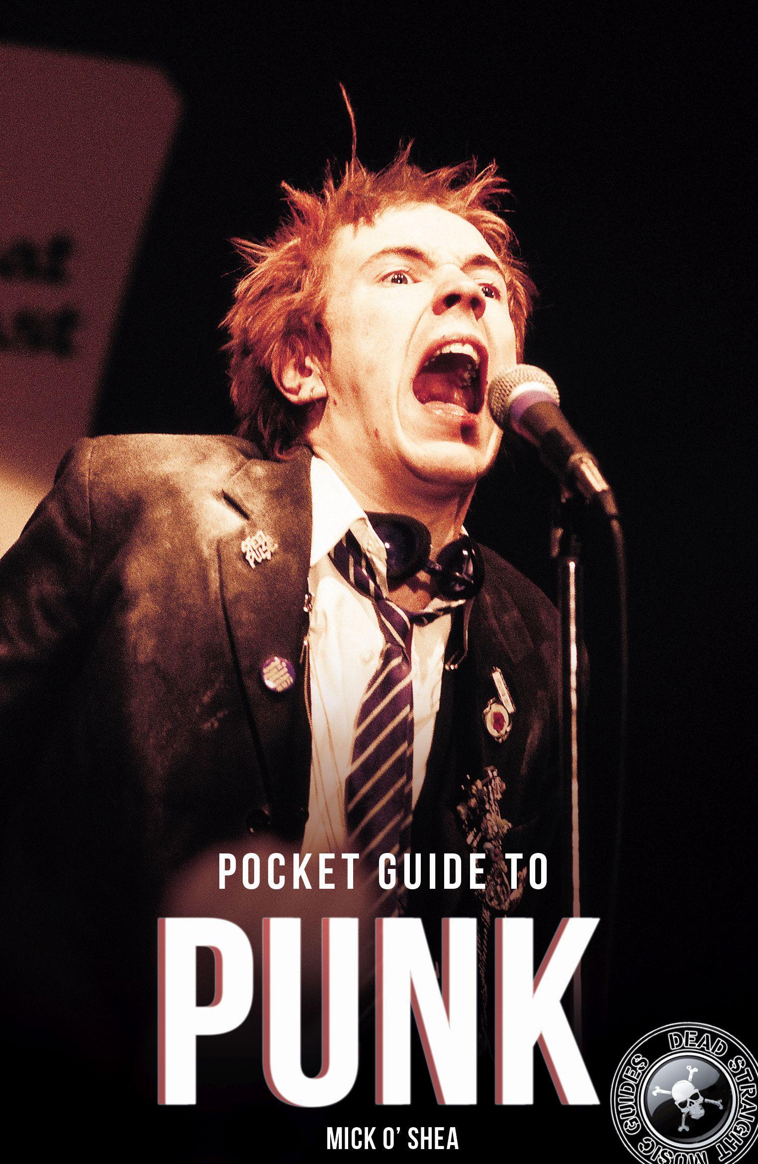 Vorderes Coverbild Pocket Guide to Punk