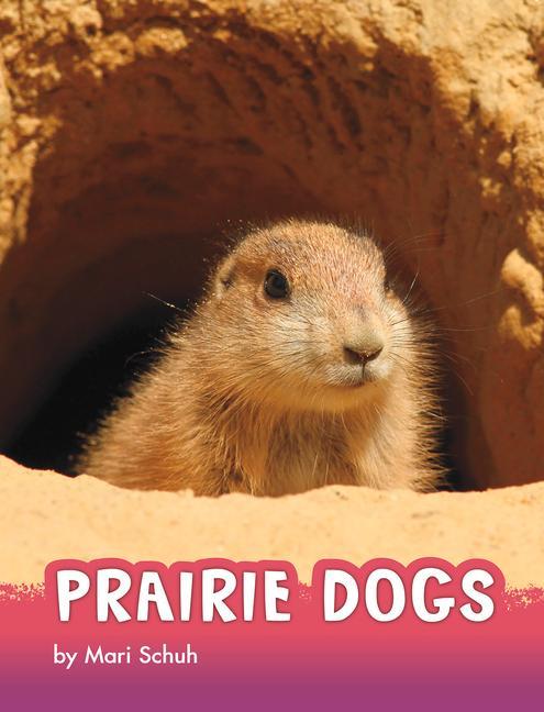 Vorderes Coverbild Prairie Dogs
