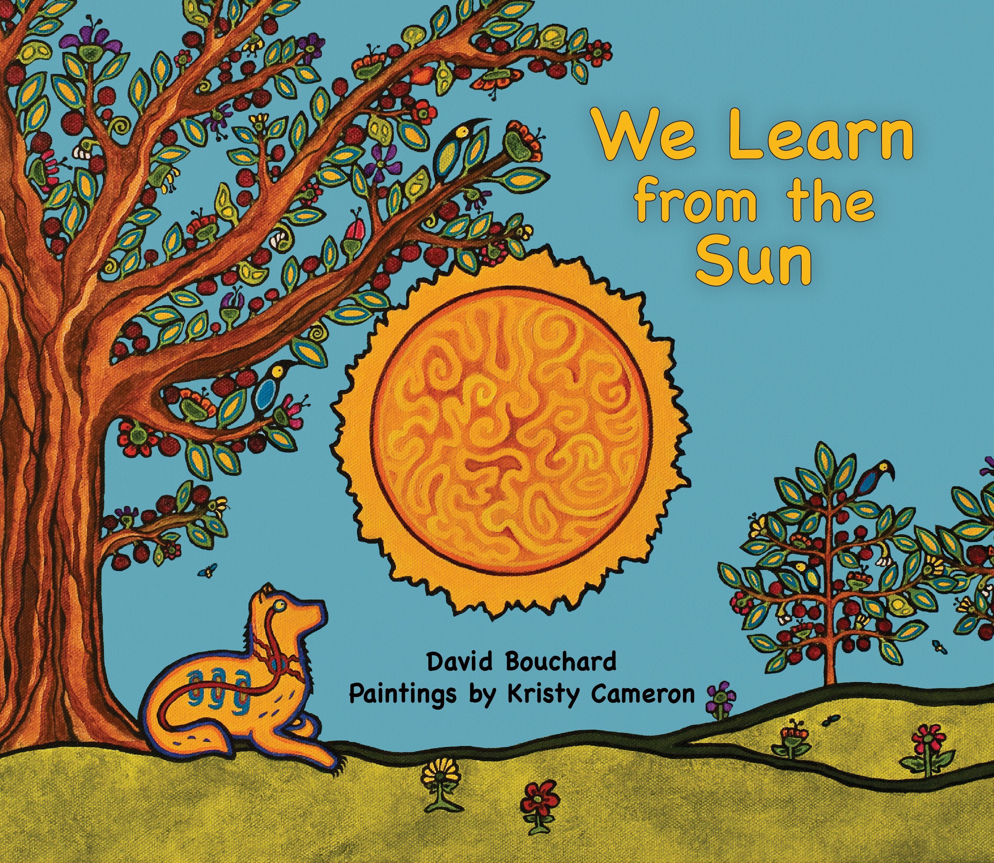 Vorderes Coverbild We Learn from the Sun