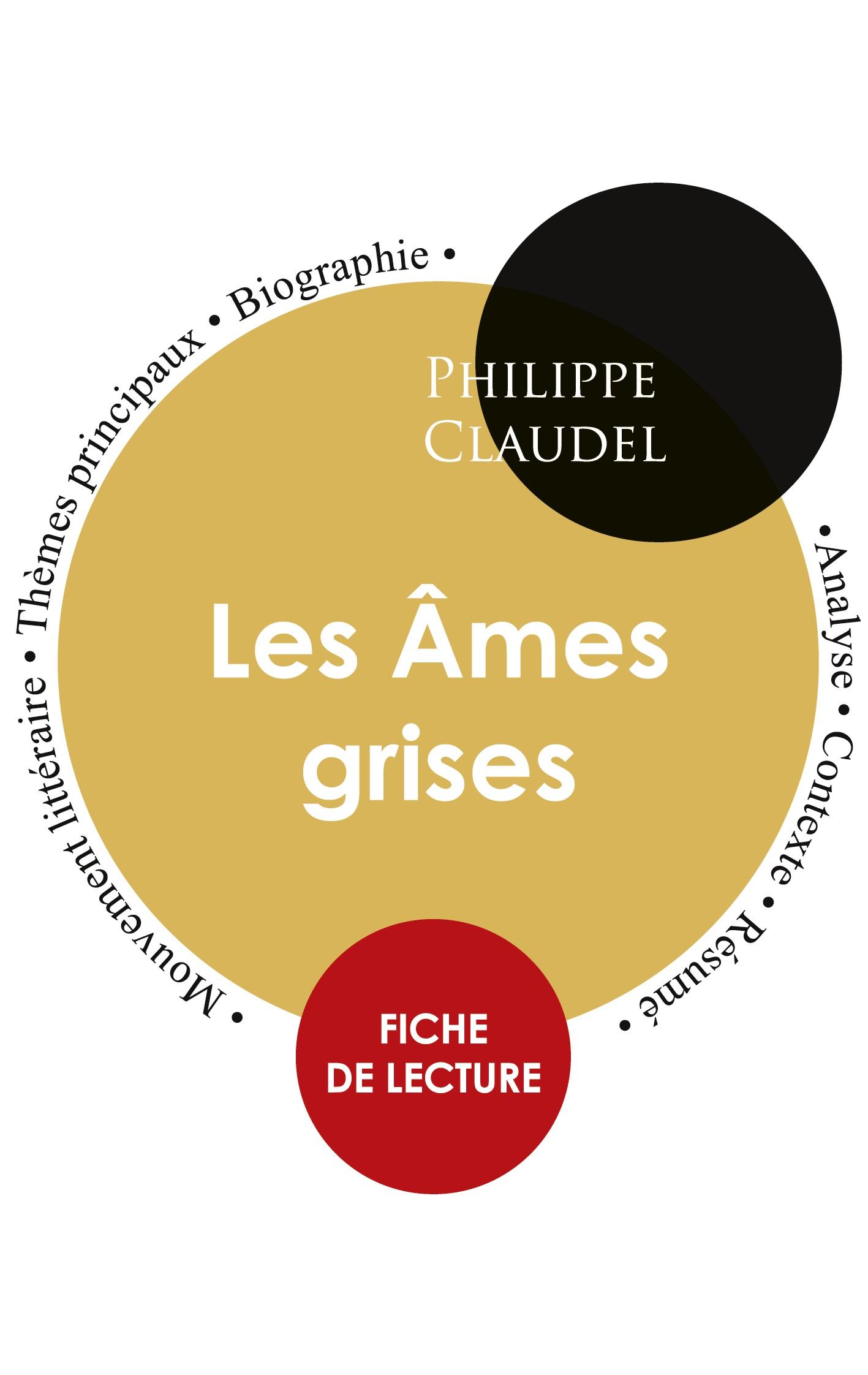 Vorderes Coverbild Fiche de lecture Les Âmes grises (Étude intégrale)