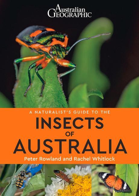 Vorderes Coverbild A Naturalist's Guide to Insects of Australia