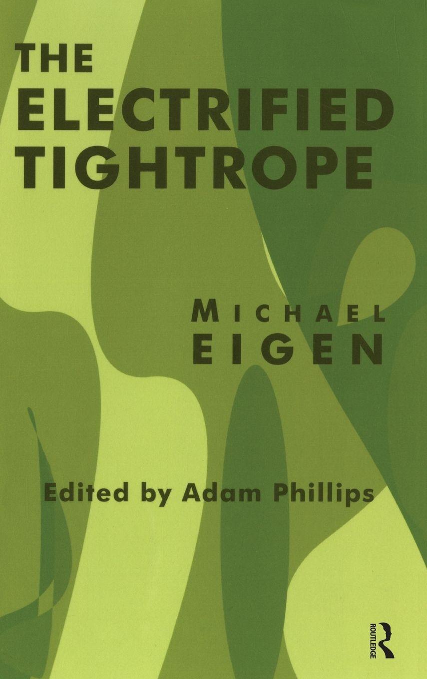 Vorderes Coverbild The Electrified Tightrope