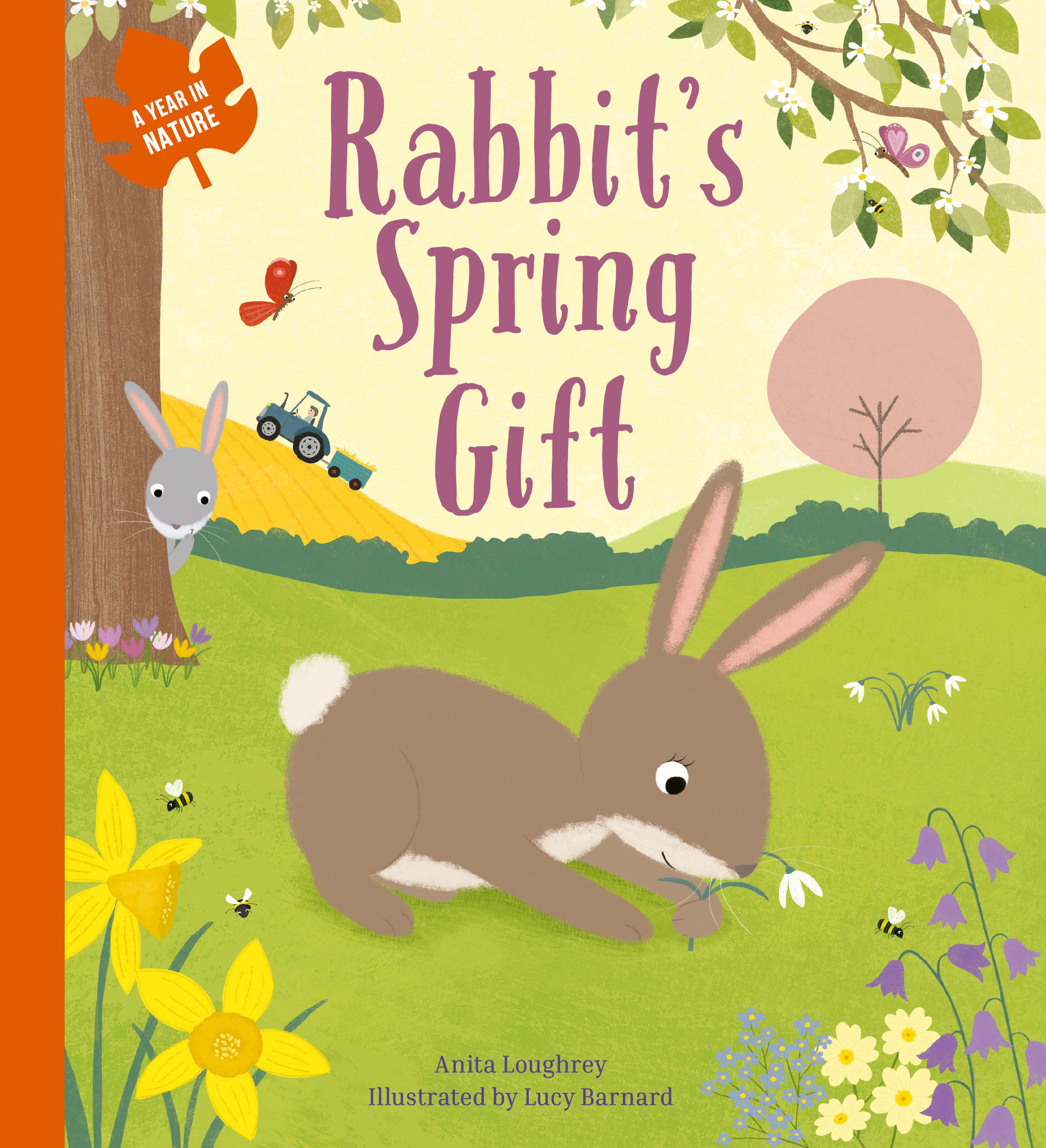 Vorderes Coverbild Rabbit's Spring Gift