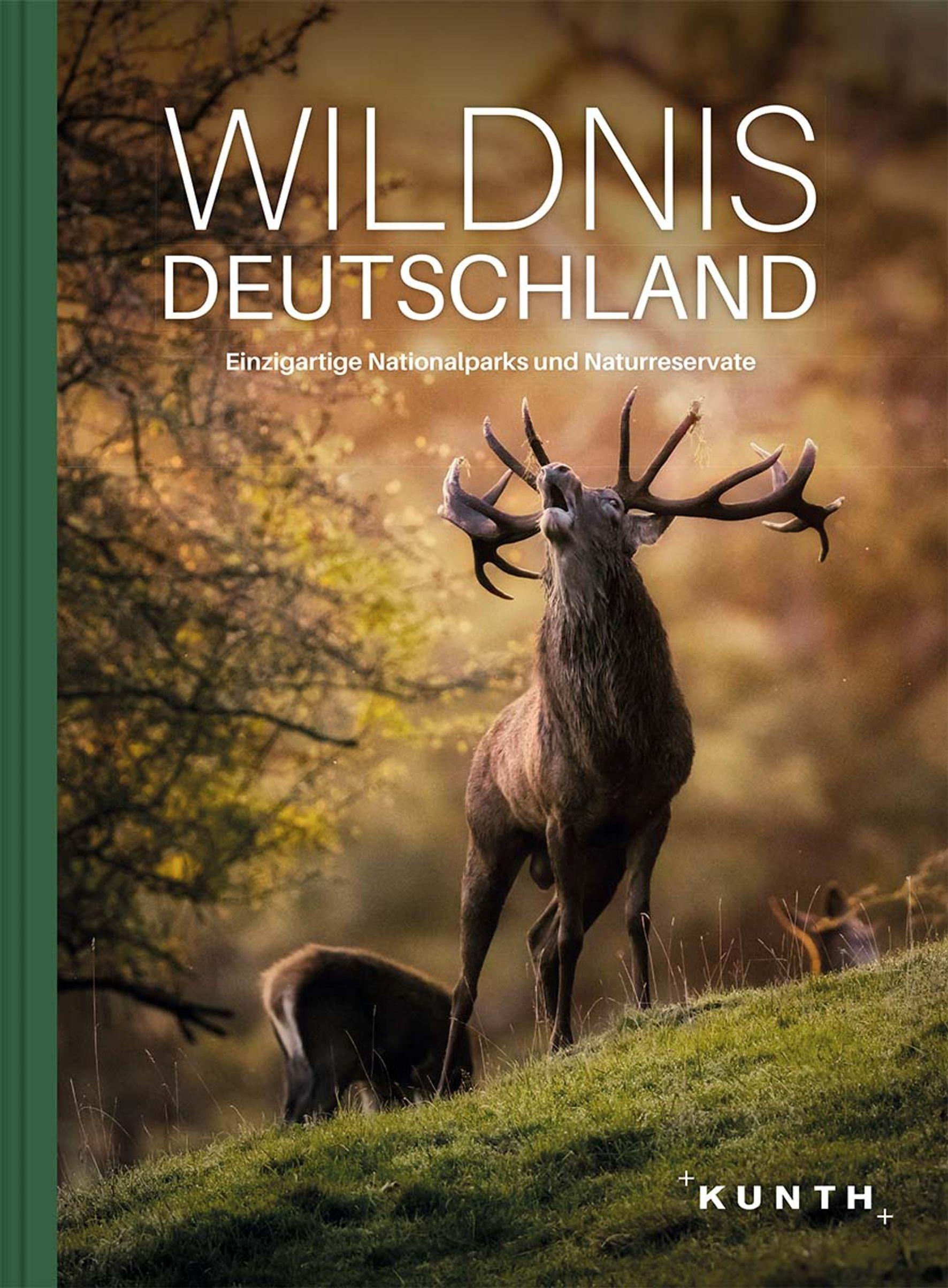 Vorderes Coverbild Wildnis Deutschland