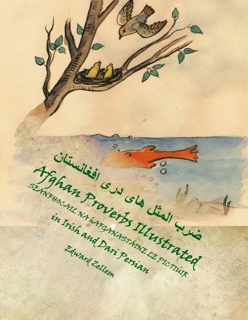 Vorderes Coverbild Seanfhocail na hAfganastáine le Pictiúir (Irish-Dari Edition): Afghan Proverbs In Irish, English and Dari Persian