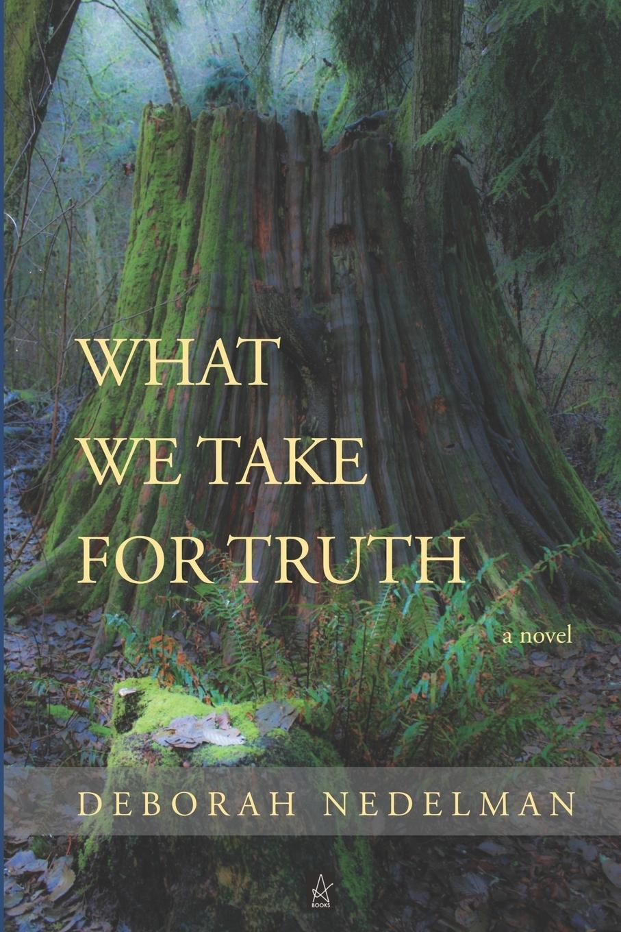 Vorderes Coverbild What We Take For Truth
