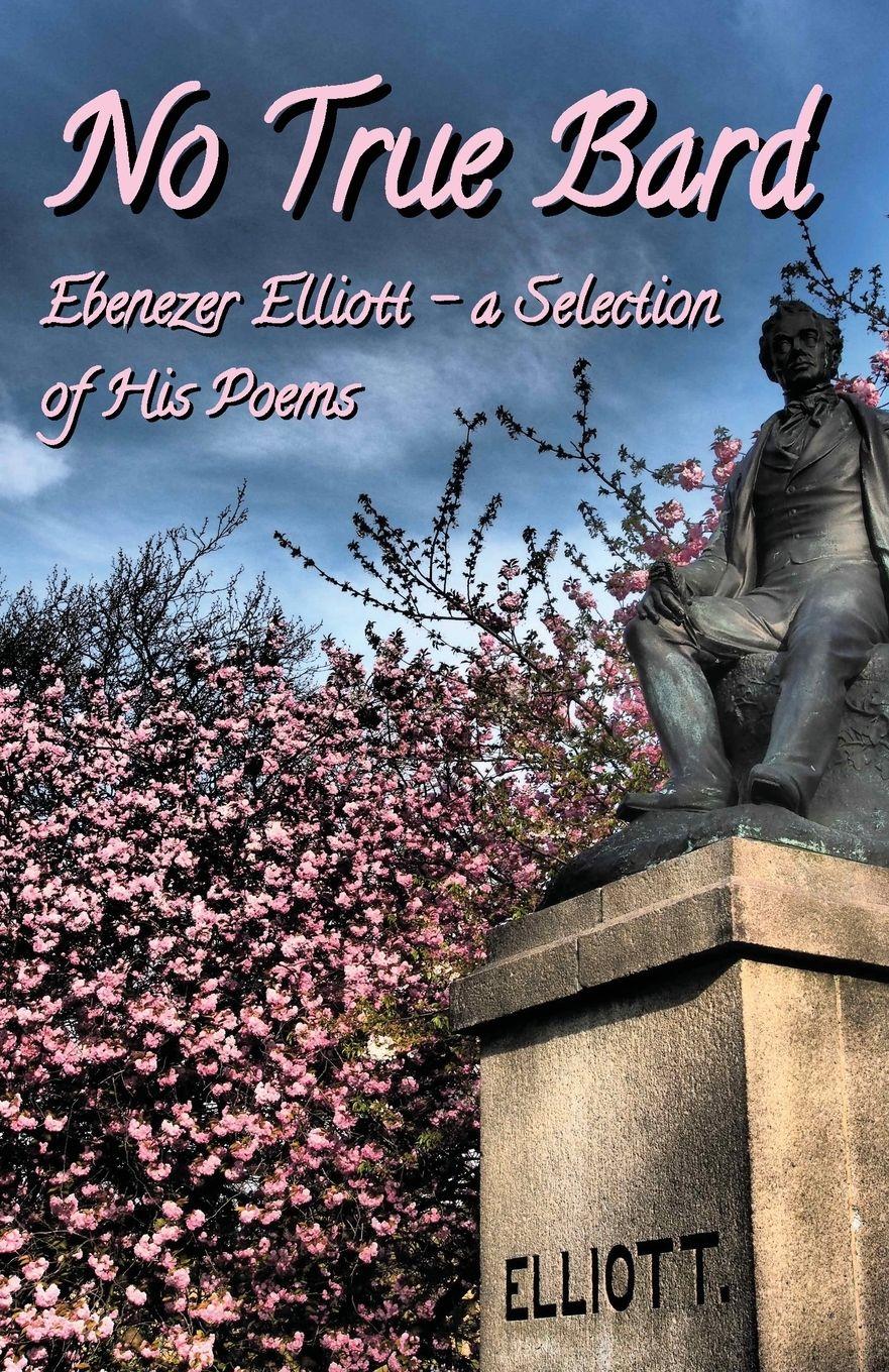 Vorderes Coverbild No True Bard