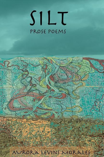 Vorderes Coverbild Silt: Prose Poems