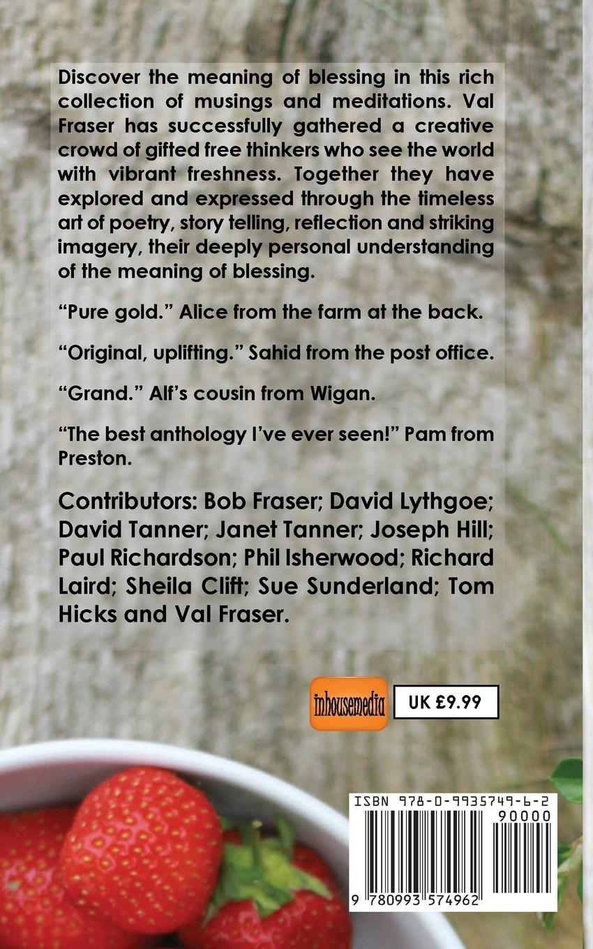 Rückseitencover The Blessing Diaries