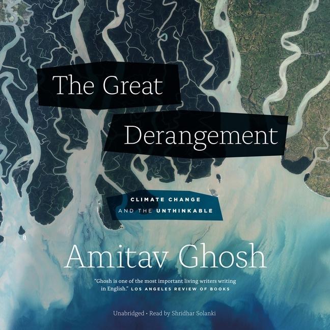 Vorderes Coverbild The Great Derangement
