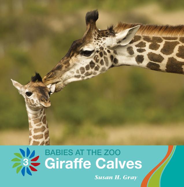 Vorderes Coverbild Giraffe Calves