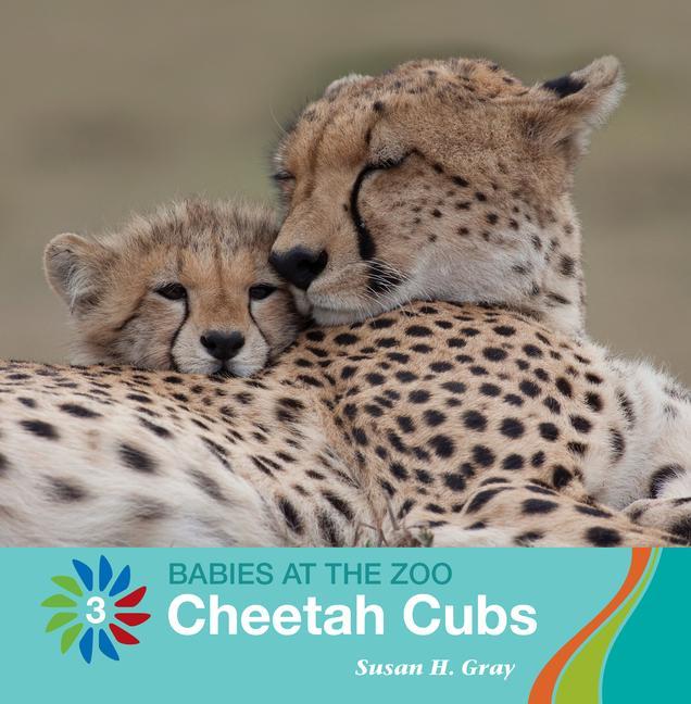 Vorderes Coverbild Cheetah Cubs