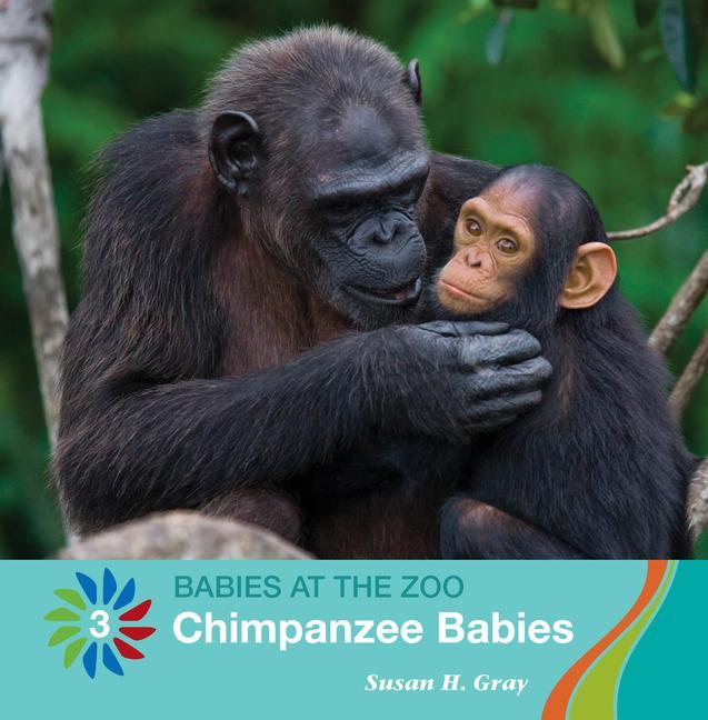 Vorderes Coverbild Chimpanzee Babies