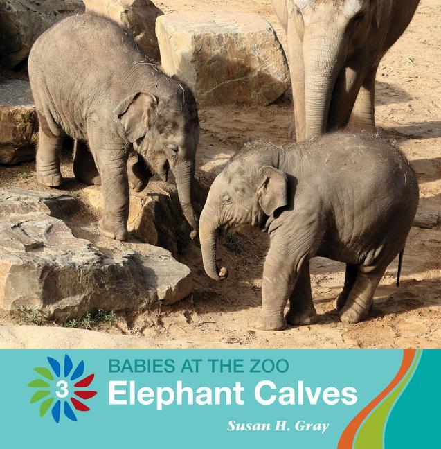 Vorderes Coverbild Elephant Calves