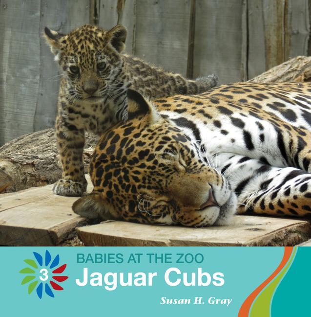 Vorderes Coverbild Jaguar Cubs