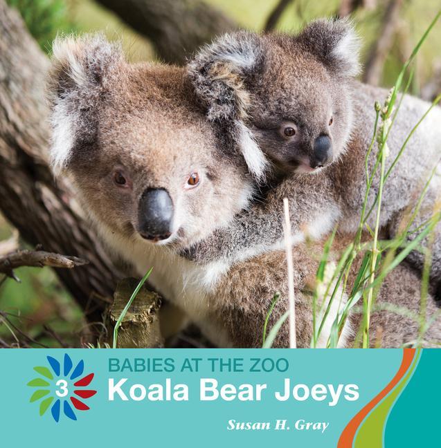 Vorderes Coverbild Koala Bear Joeys