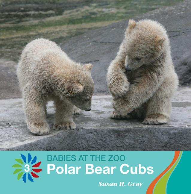 Vorderes Coverbild Polar Bear Cubs