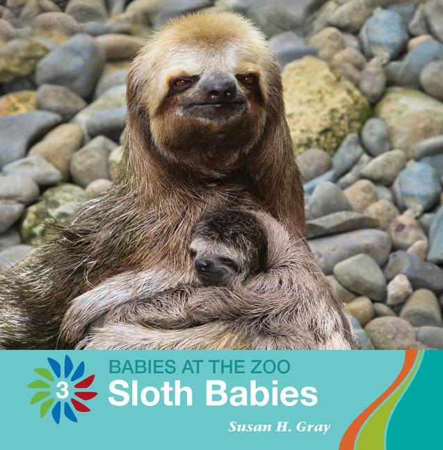 Vorderes Coverbild Sloth Babies