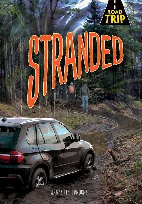 Vorderes Coverbild Stranded