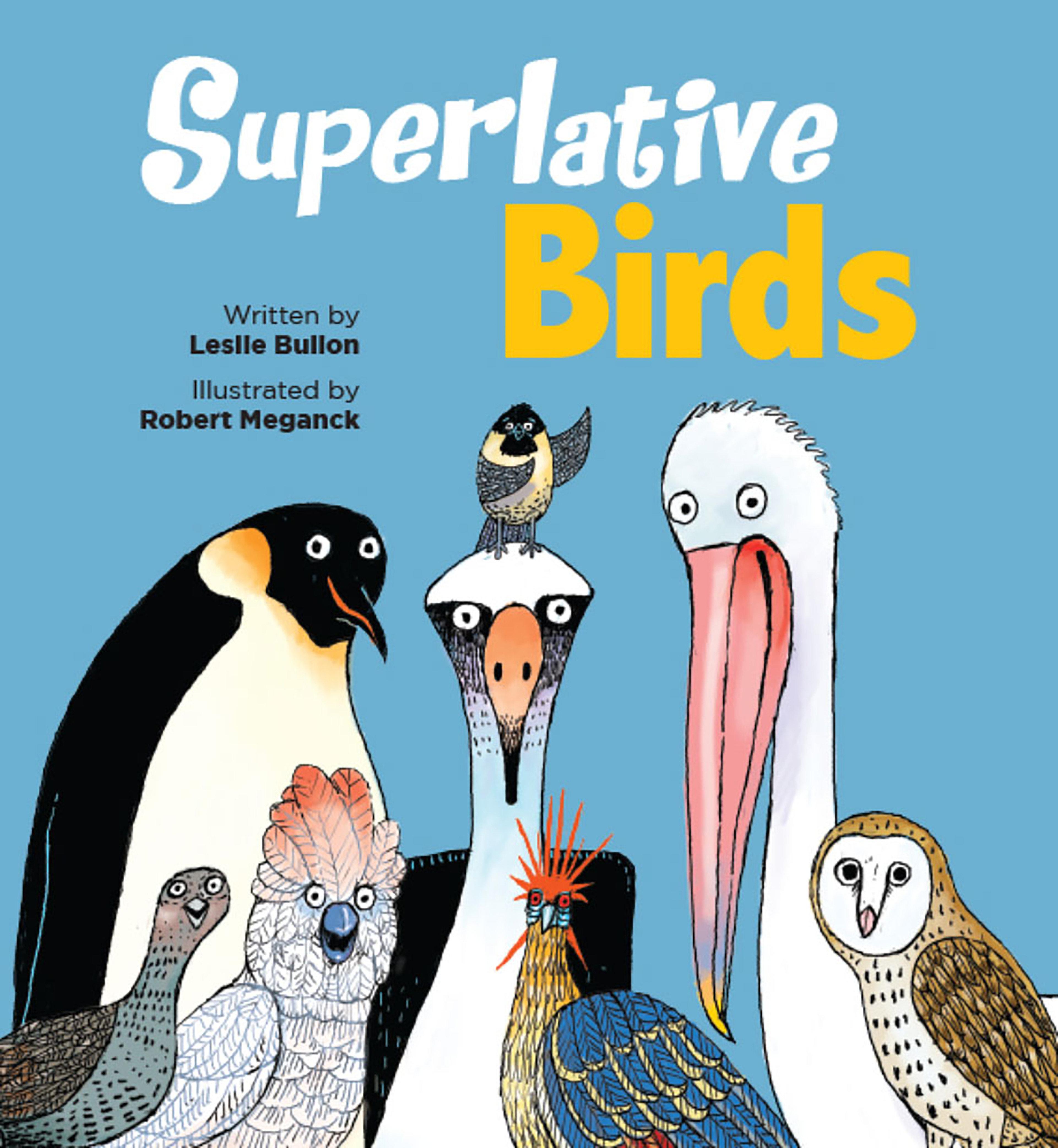Vorderes Coverbild Superlative Birds