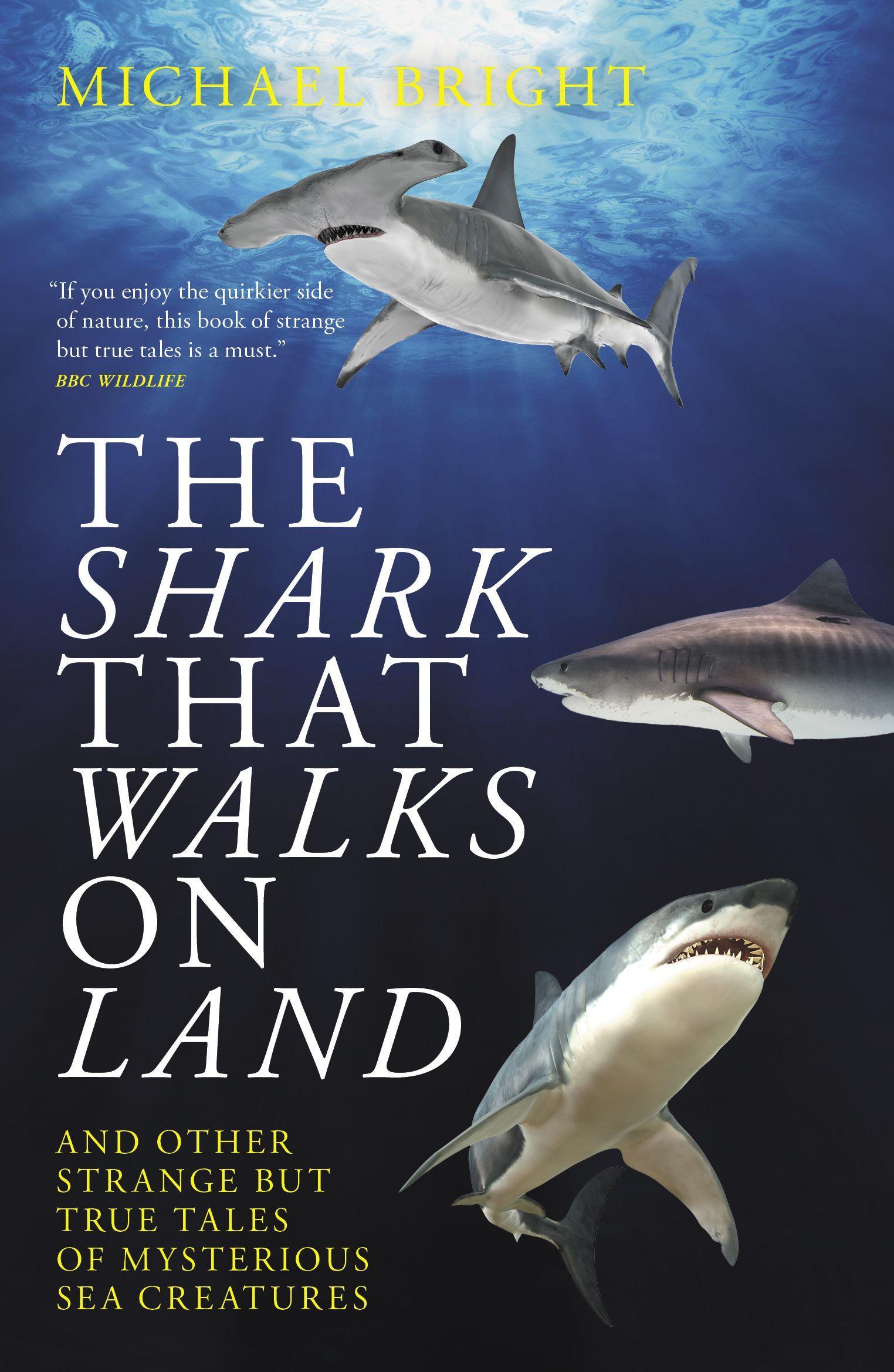 Vorderes Coverbild The Shark That Walks on Land