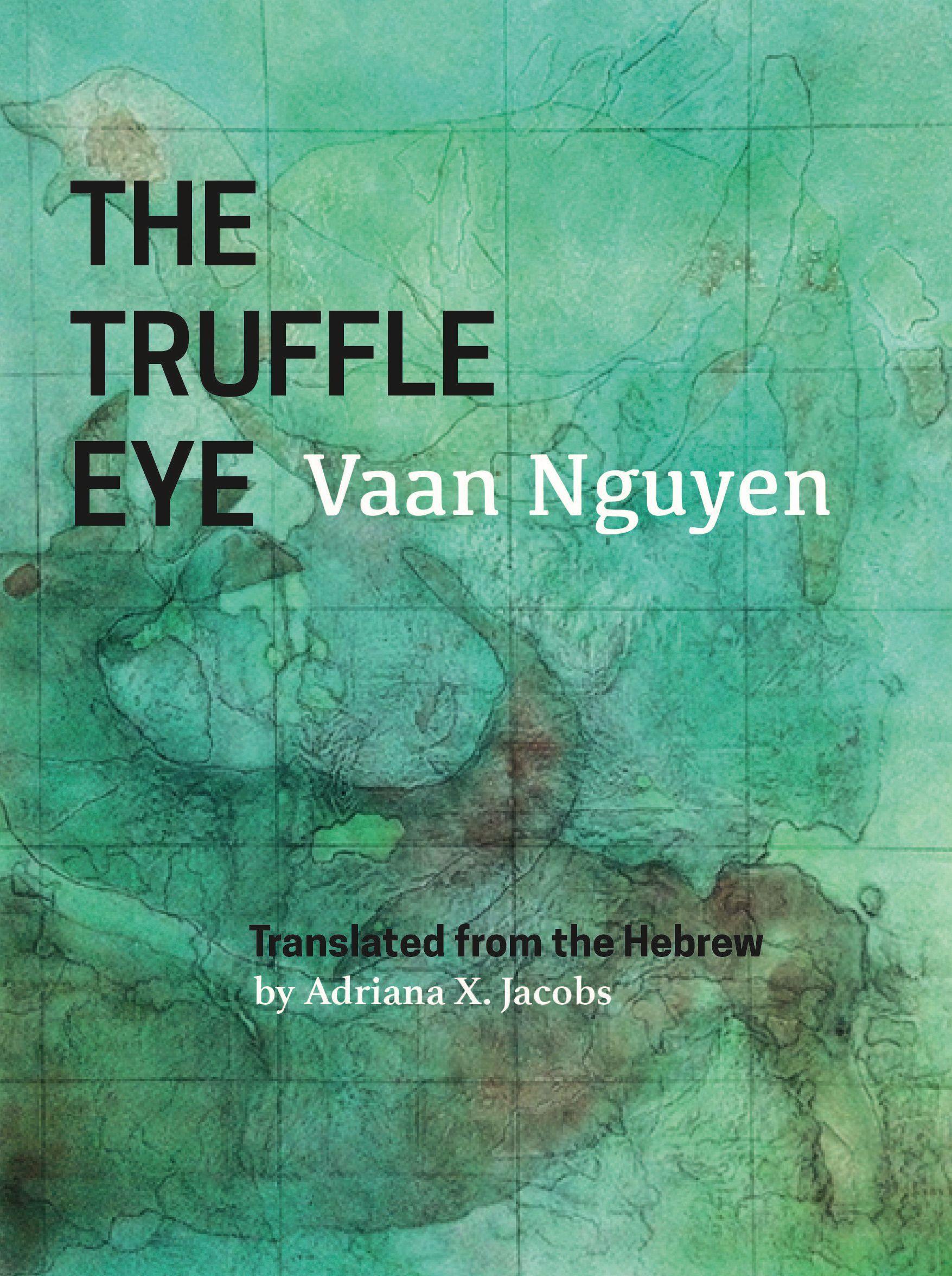 Vorderes Coverbild The Truffle Eye