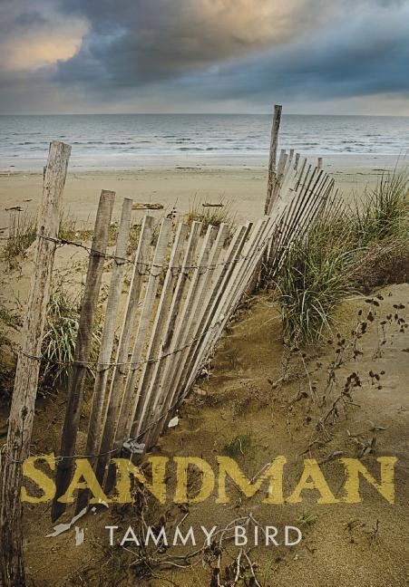Vorderes Coverbild Sandman