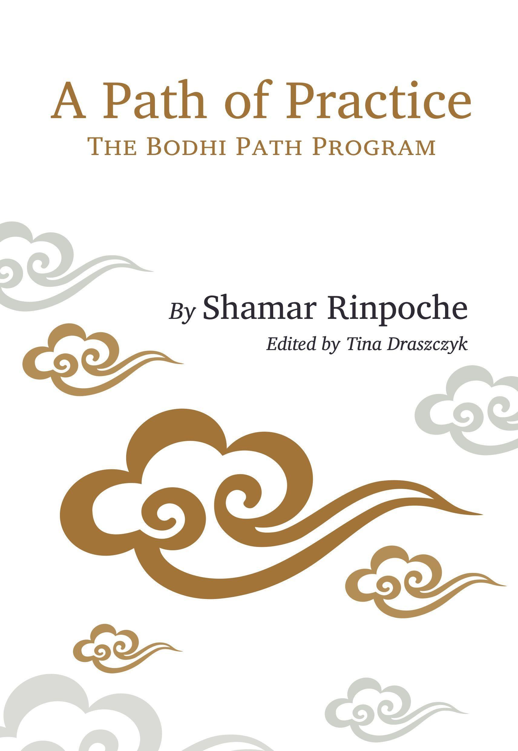 Vorderes Coverbild A Path of Practice