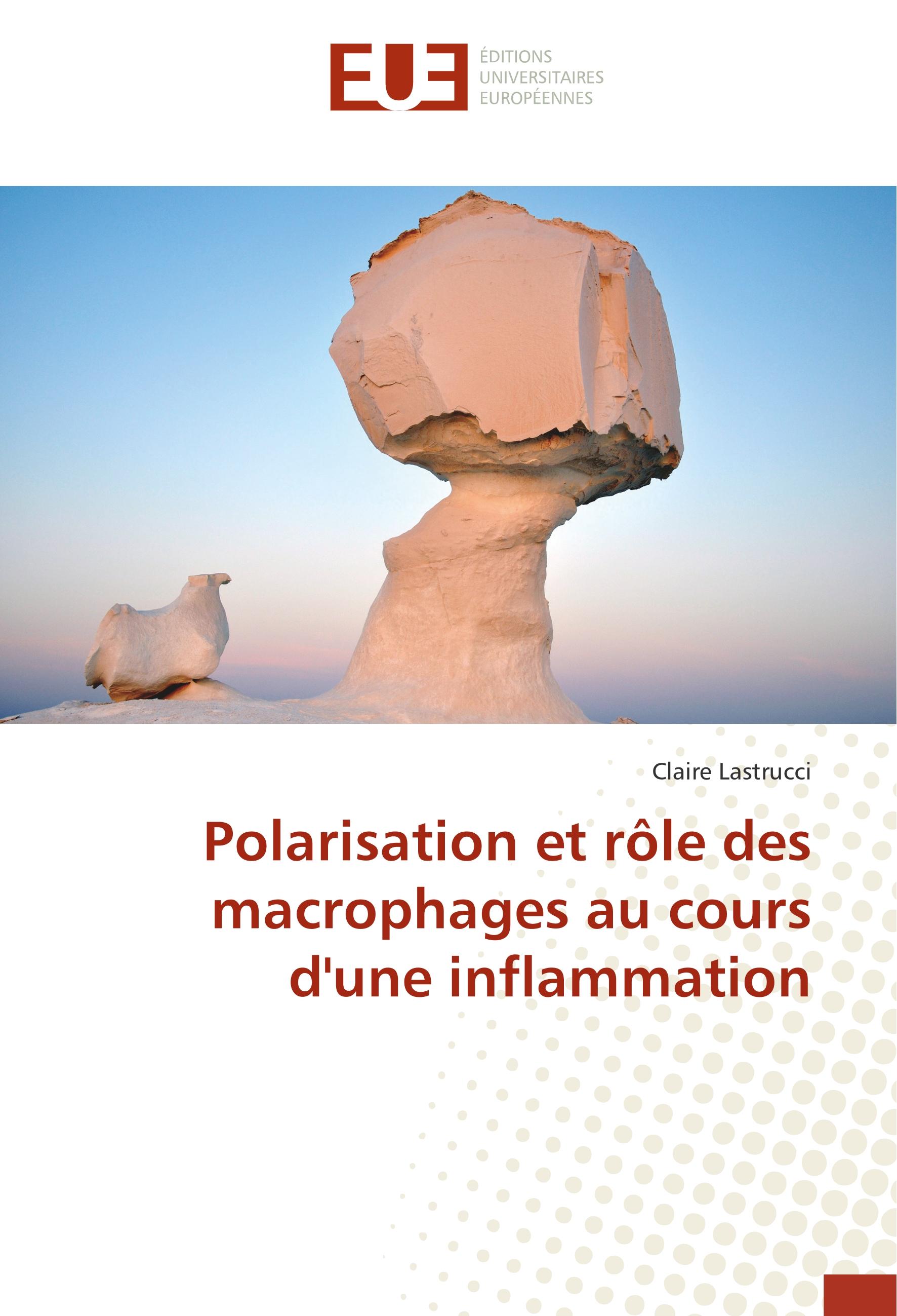Vorderes Coverbild Polarisation et rôle des macrophages au cours d'une inflammation