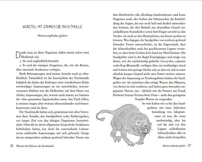 Beispielinhalt (Bild) Die seltsamsten Tiere der Welt