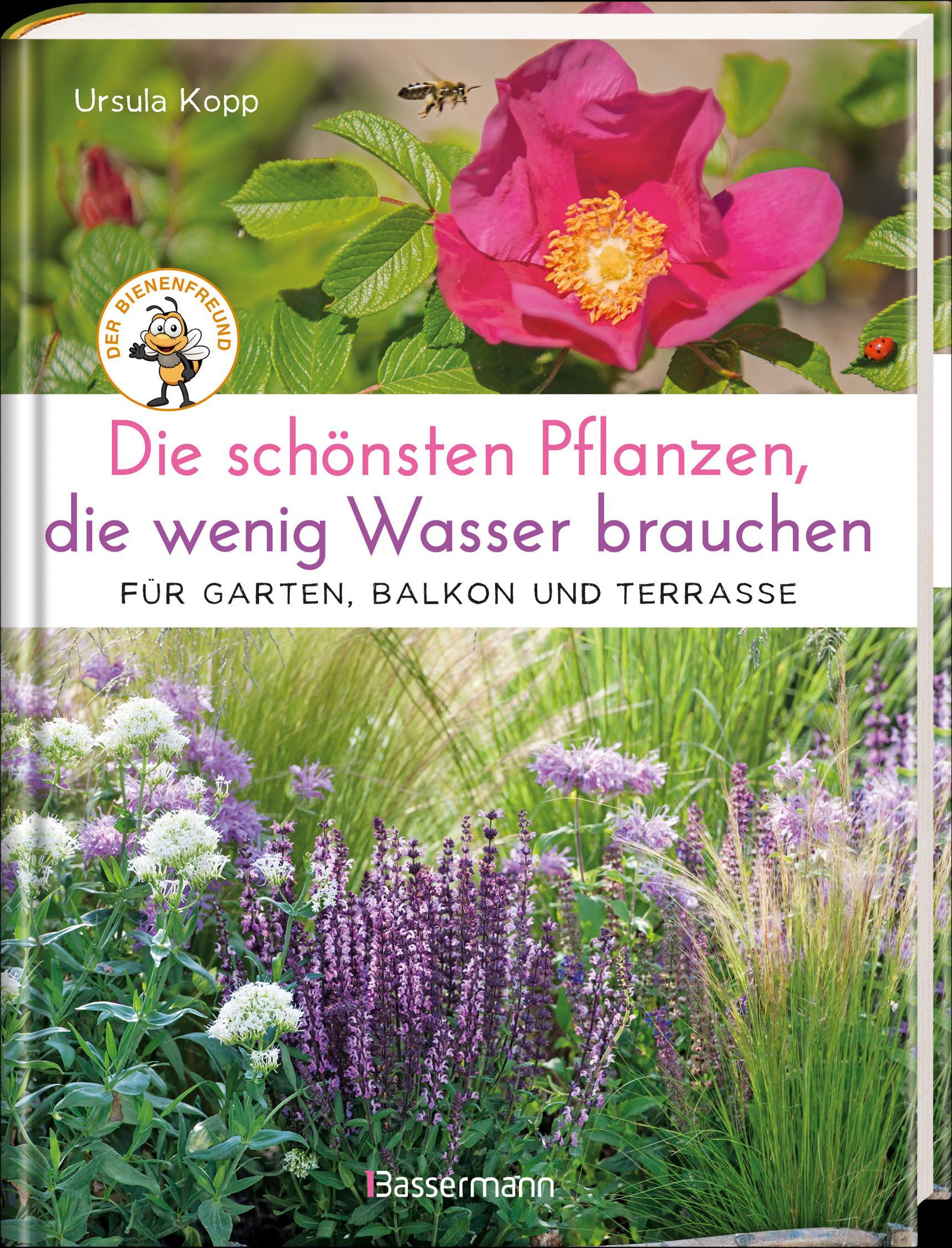 Beispielinhalt (Bild) Die schönsten Pflanzen, die wenig Wasser brauchen für Garten, Balkon und Terrasse - 66 trockenheitsverträgliche Stauden, Sträucher, Gräser und Blumen, die heiße Sommer garantiert überleben