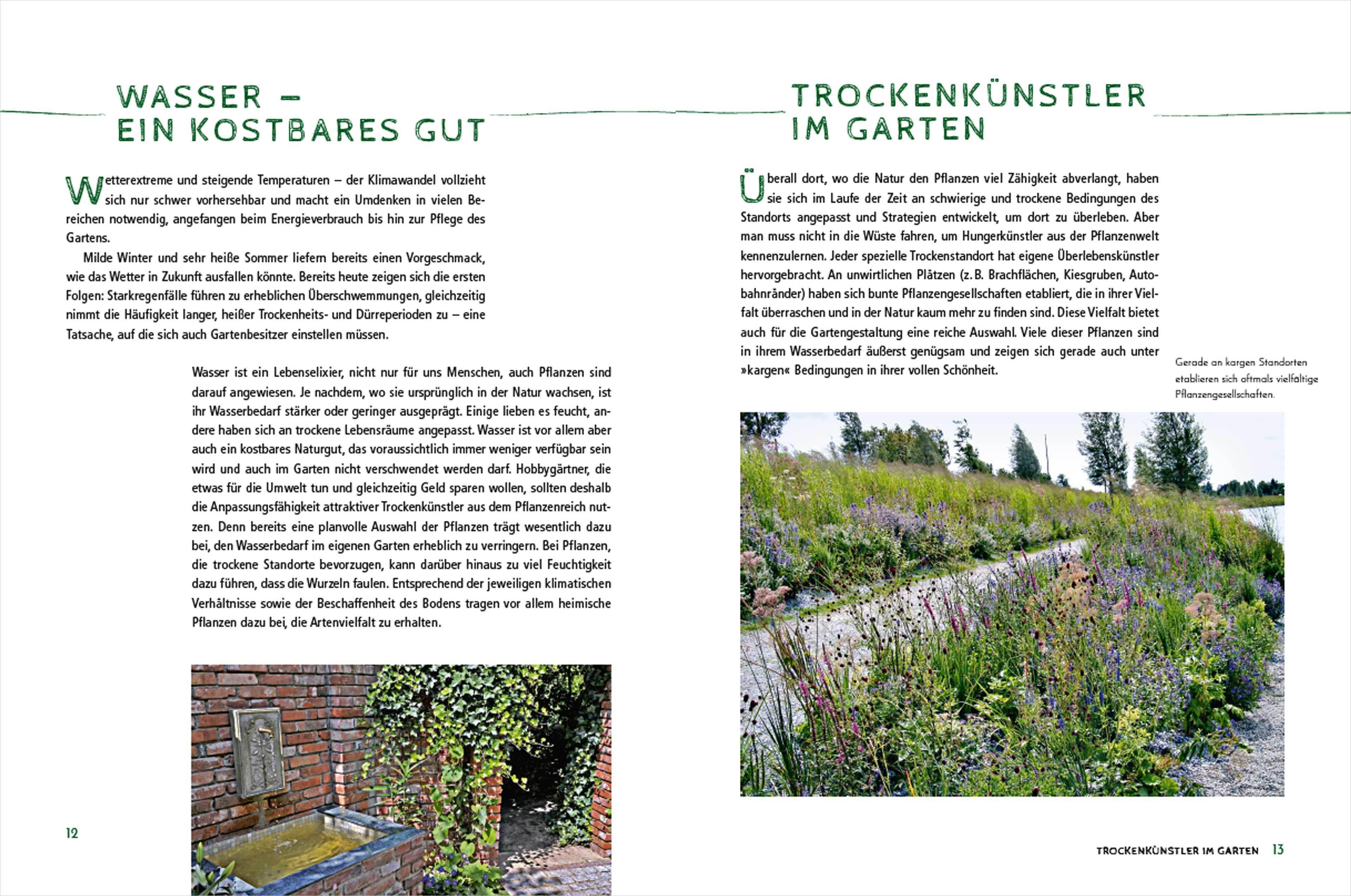 Beispielinhalt (Bild) Die schönsten Pflanzen, die wenig Wasser brauchen für Garten, Balkon und Terrasse - 66 trockenheitsverträgliche Stauden, Sträucher, Gräser und Blumen, die heiße Sommer garantiert überleben