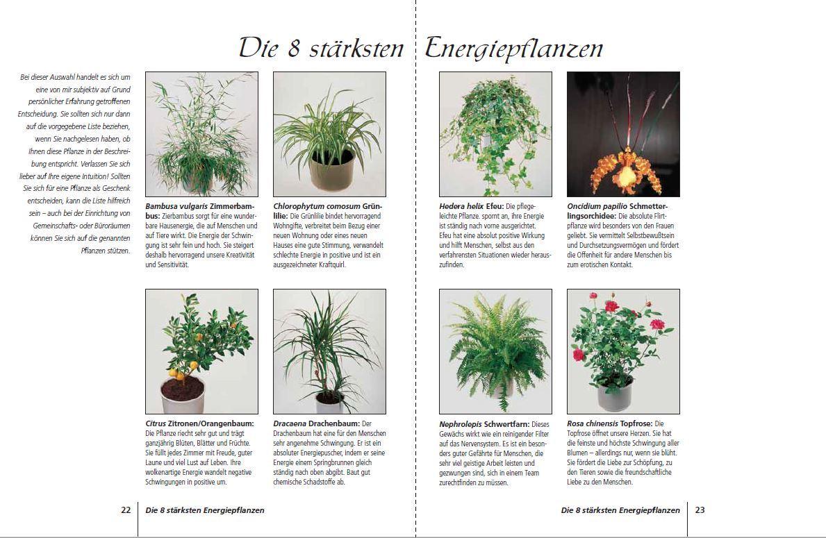 Beispielinhalt (Bild) Positive Energie mit Zimmerpflanzen - 86 Energiepflanzen für mehr Kraft, Harmonie und innere Ruhe