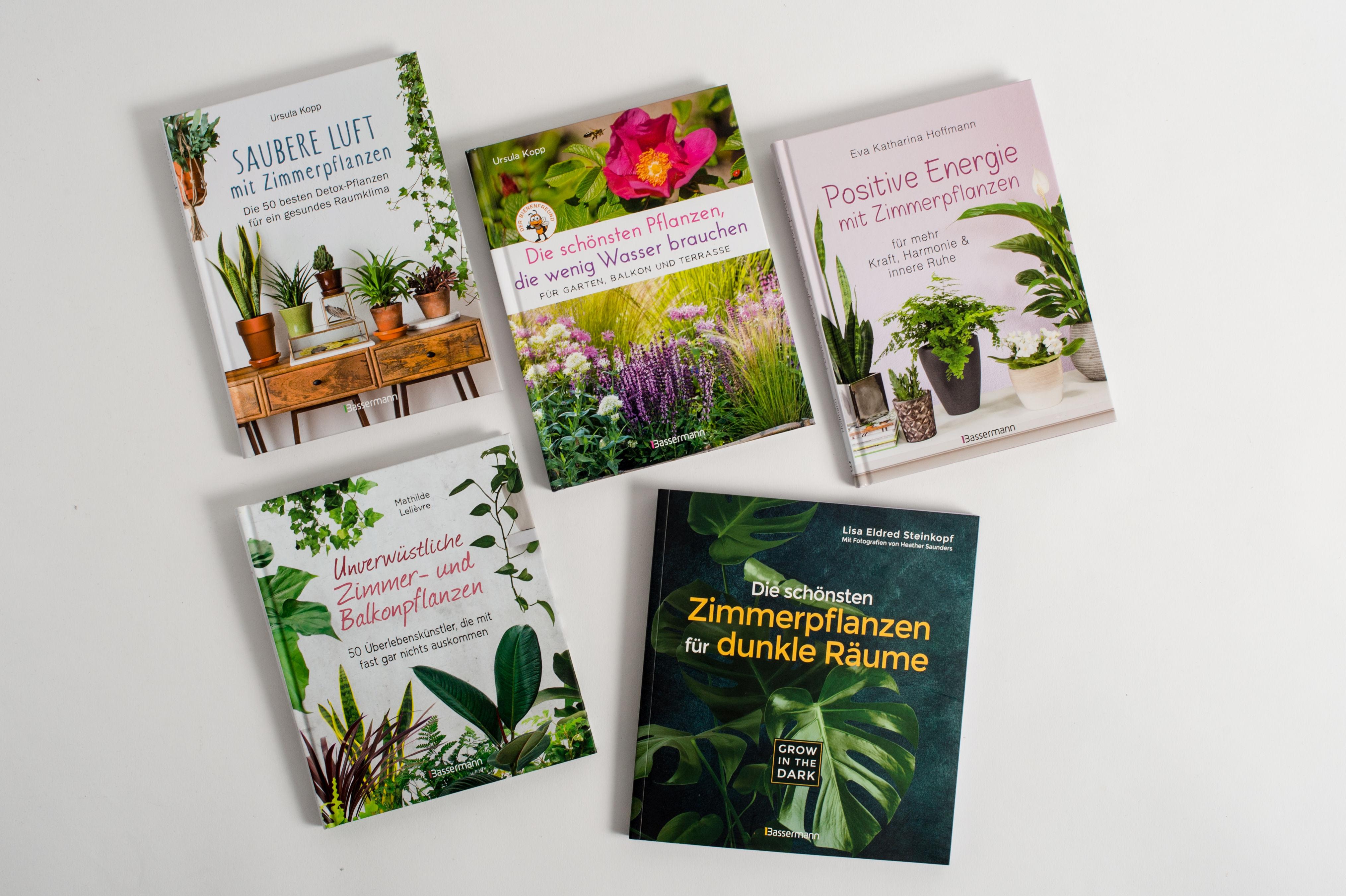Beispielinhalt (Bild) Positive Energie mit Zimmerpflanzen - 86 Energiepflanzen für mehr Kraft, Harmonie und innere Ruhe