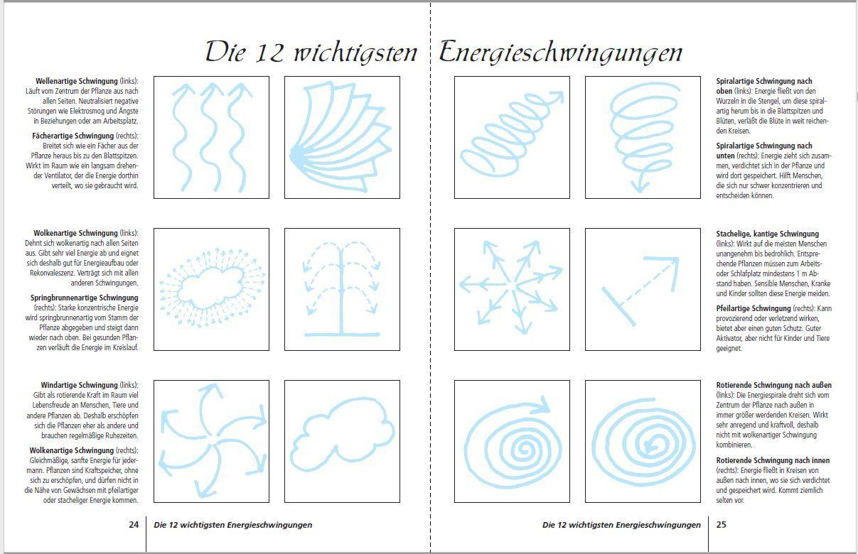 Beispielinhalt (Bild) Positive Energie mit Zimmerpflanzen - 86 Energiepflanzen für mehr Kraft, Harmonie und innere Ruhe